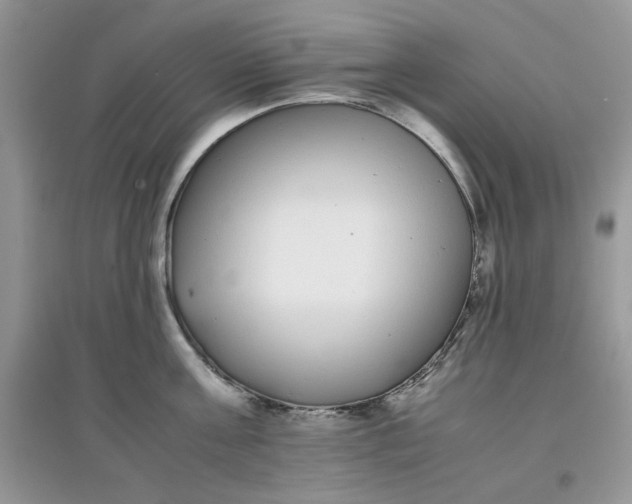 X0000097640811200803142045