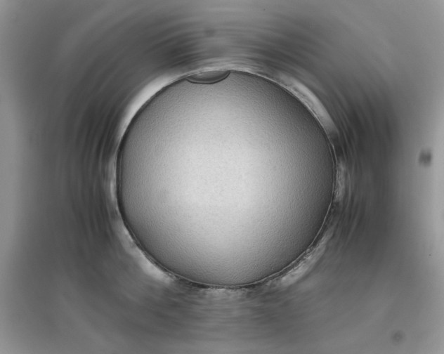 X0000097640812200803142045