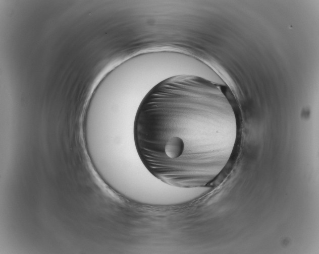 X0000097640813200803142045