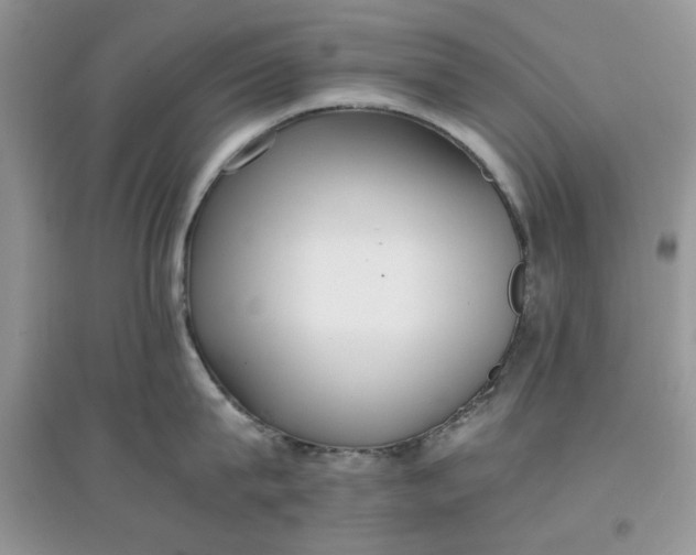 X0000097640815200803142045