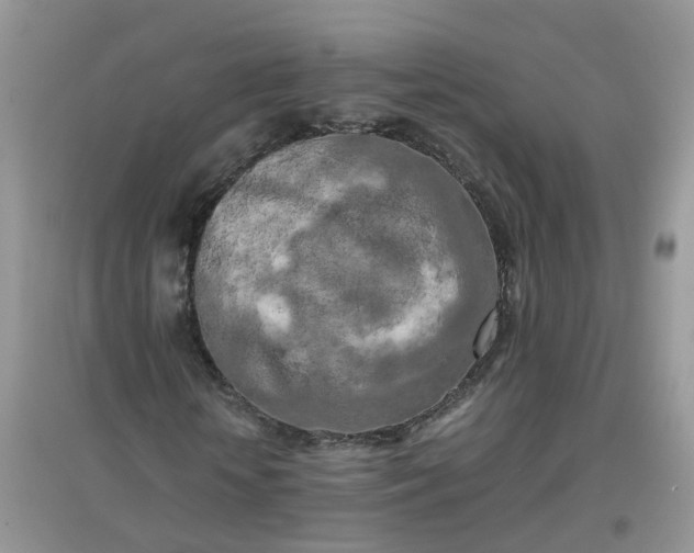 X0000097640818200803142044