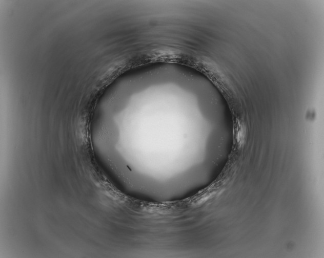 X0000097640819200803142044