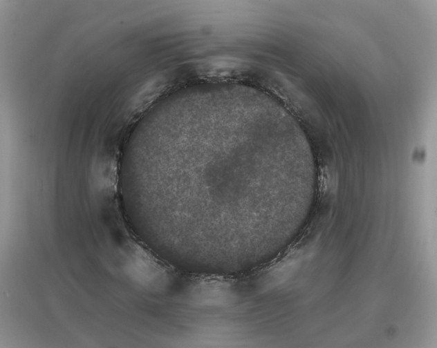 X0000097640820200803142044