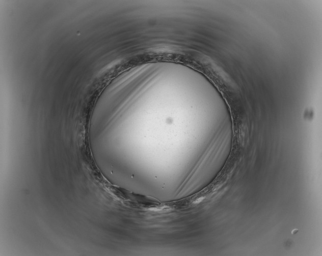 X0000097640821200803142044