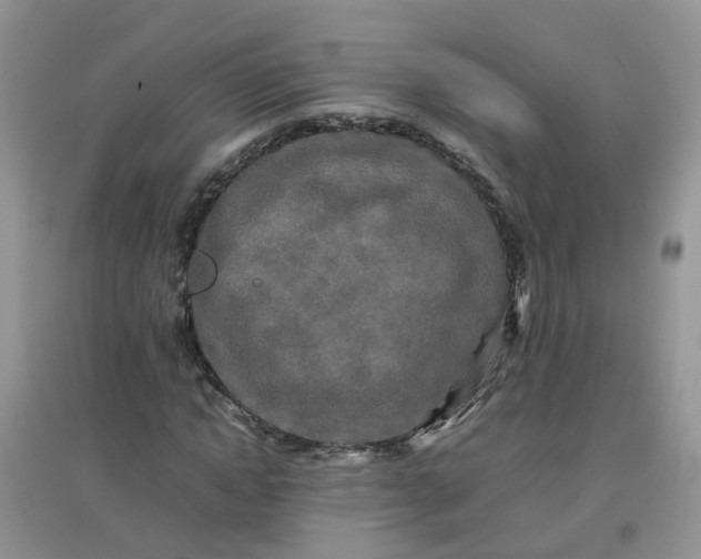 X0000097640822200803142044