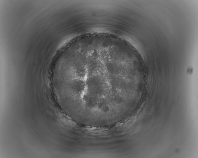 X0000097640823200803142044