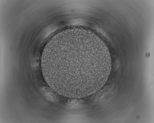 X0000097640824200803142044