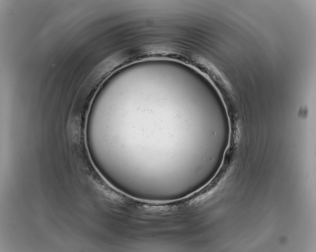 X0000097640825200803142044