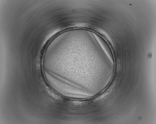 X0000097640827200803142045