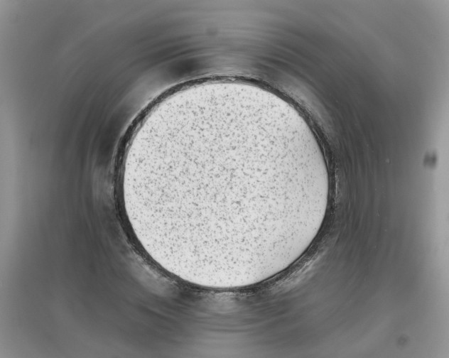 X0000097640828200803142045