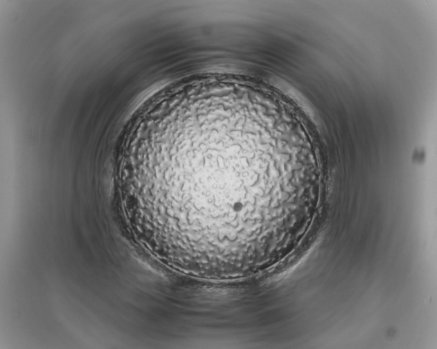 X0000097640829200803142045