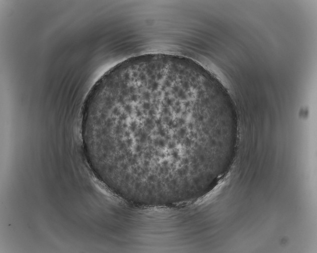 X0000097640830200803142045