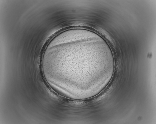 X0000097640831200803142045