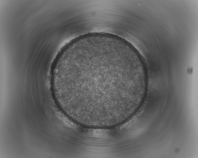 X0000097640832200803142045