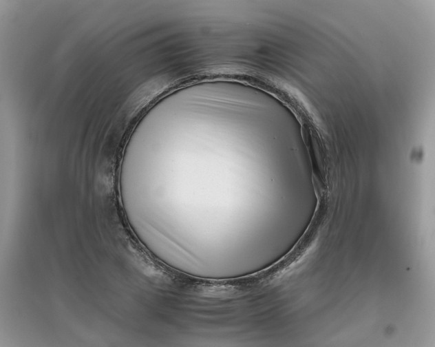 X0000097640833200803142045