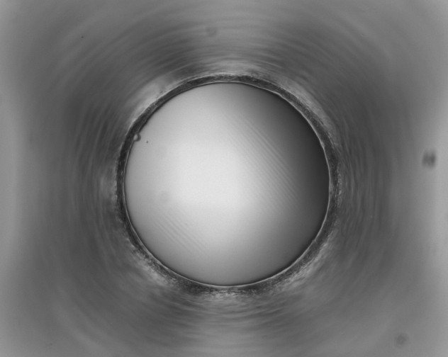 X0000097640834200803142045