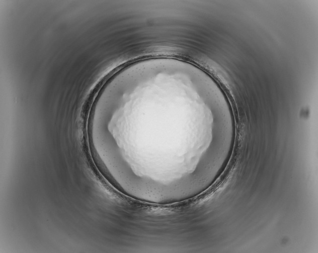 X0000097640835200803142045