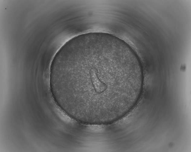 X0000097640836200803142045