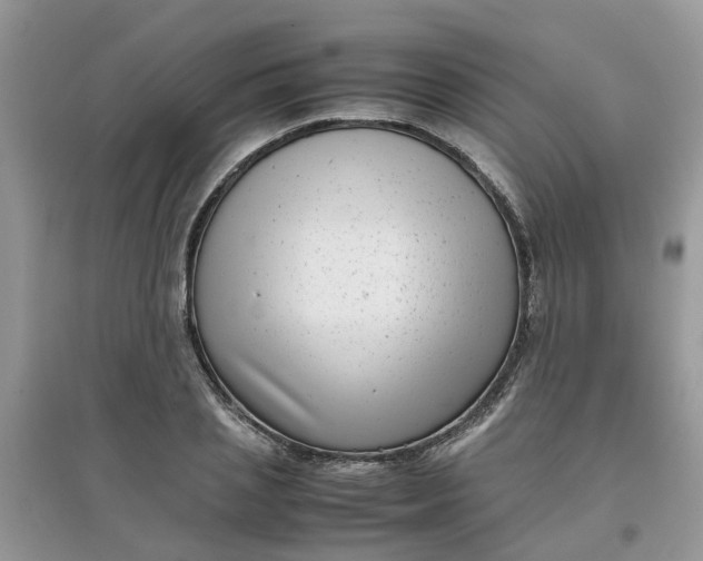 X0000097640837200803142045