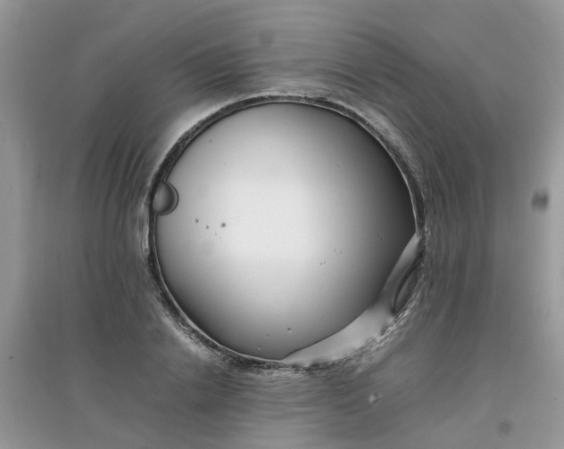 X0000097640838200803142045