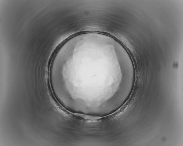 X0000097640839200803142045