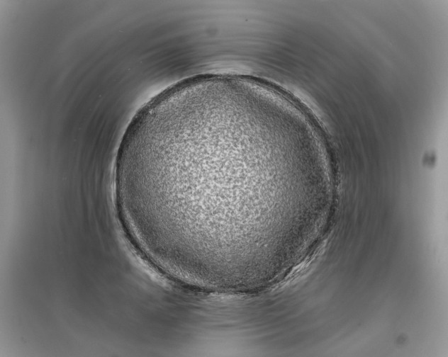 X0000097640840200803142045