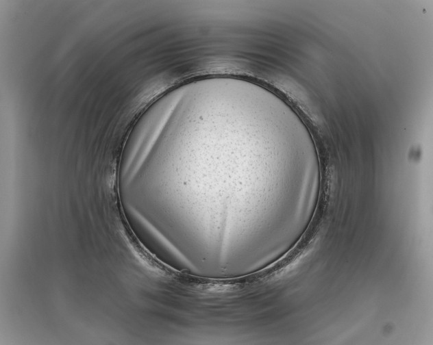 X0000097640841200803142045