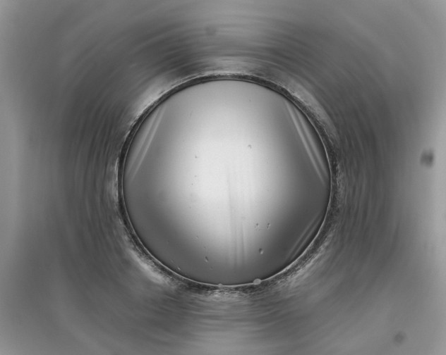 X0000097640842200803142045