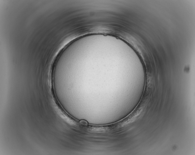 X0000097640843200803142045