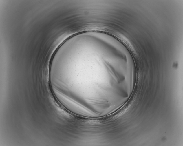 X0000097640844200803142045