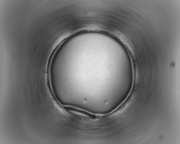 X0000097640845200803142045