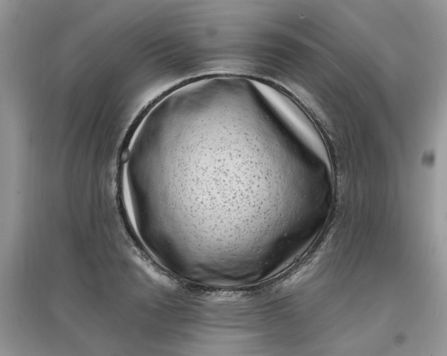 X0000097640846200803142045