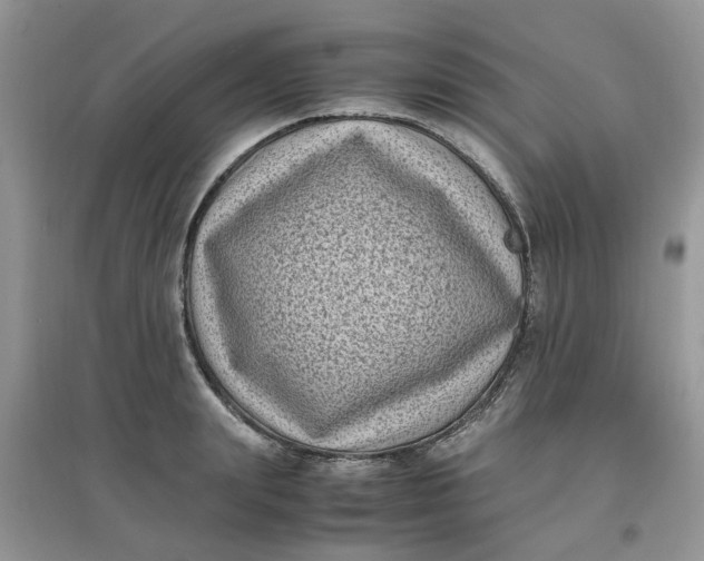 X0000097640847200803142045