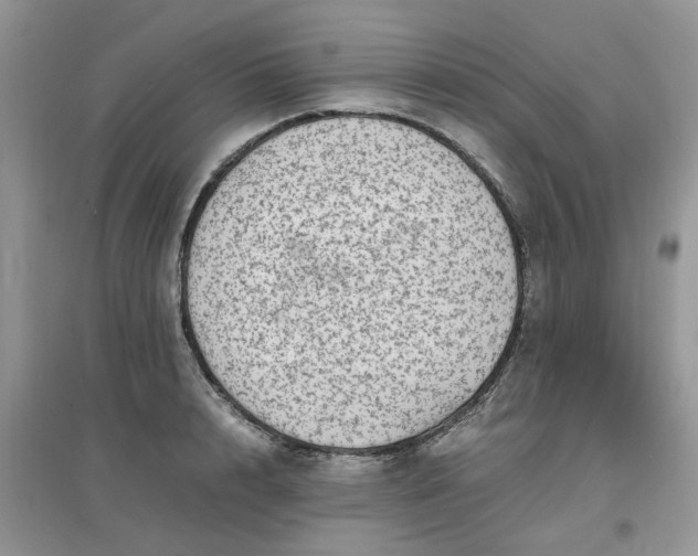 X0000097640848200803142045