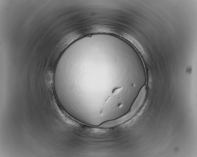 X0000097640849200803142045