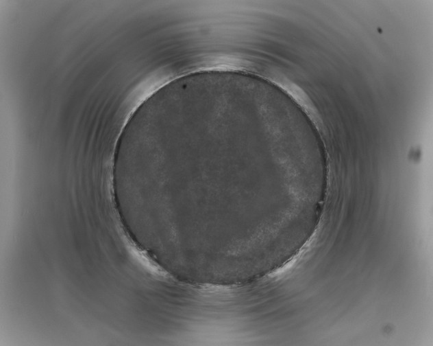 X0000097640850200803142045