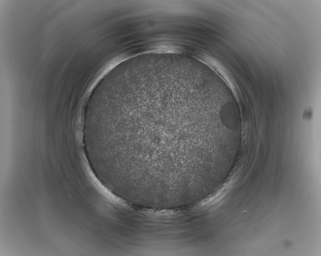 X0000097640851200803142045