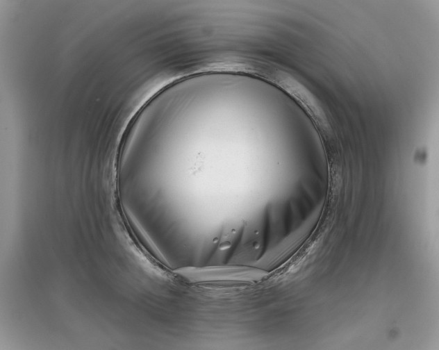 X0000097640852200803142045