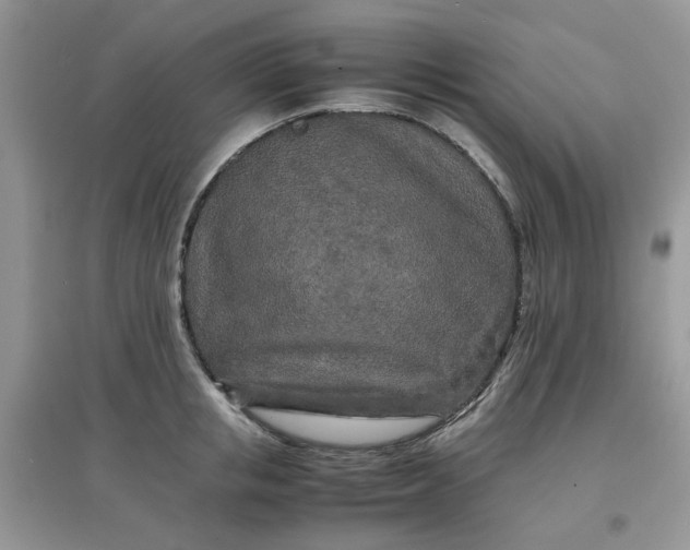 X0000097640853200803142045