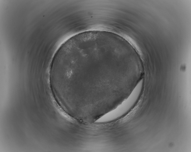 X0000097640854200803142045