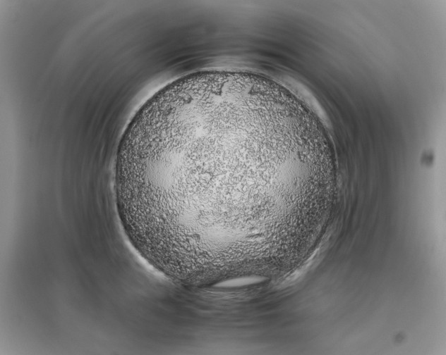 X0000097640855200803142045