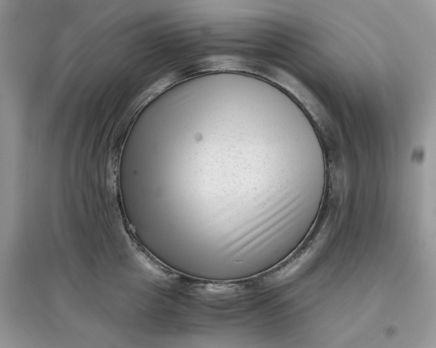 X0000097640857200803142045