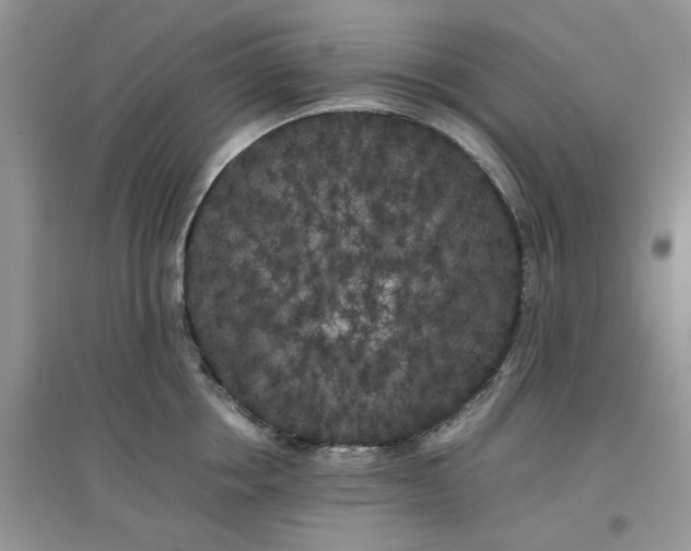 X0000097640858200803142045