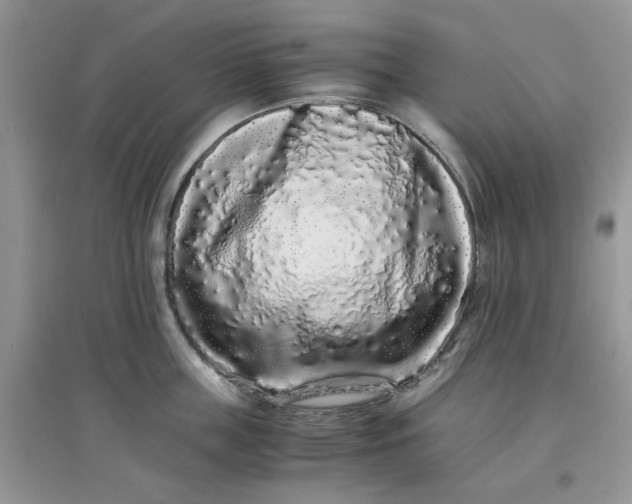 X0000097640859200803142045