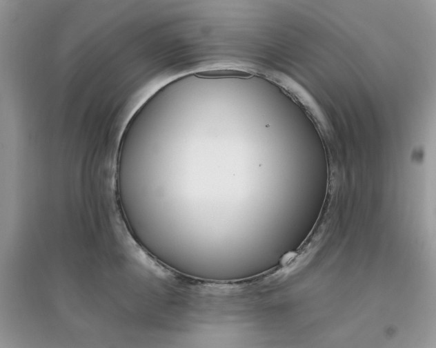 X0000097640860200803142045