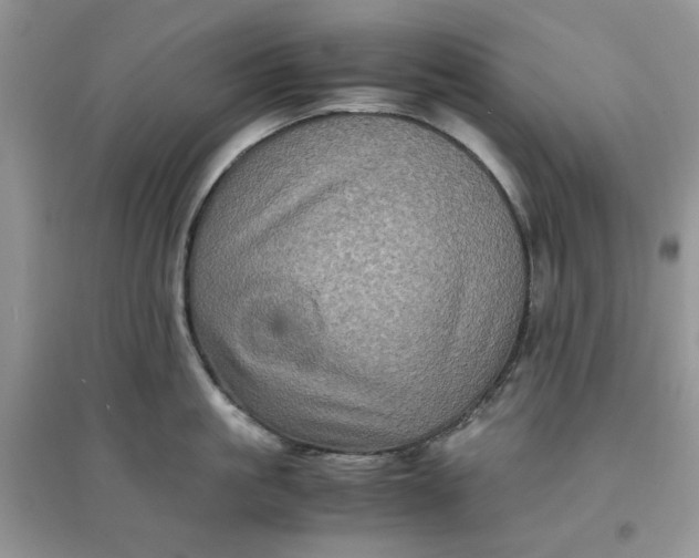 X0000097640861200803142045