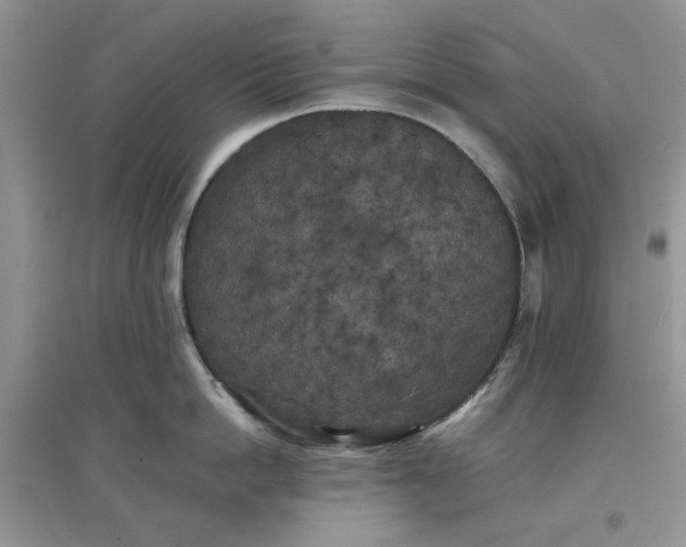 X0000097640862200803142045