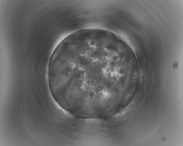 X0000097640863200803142045