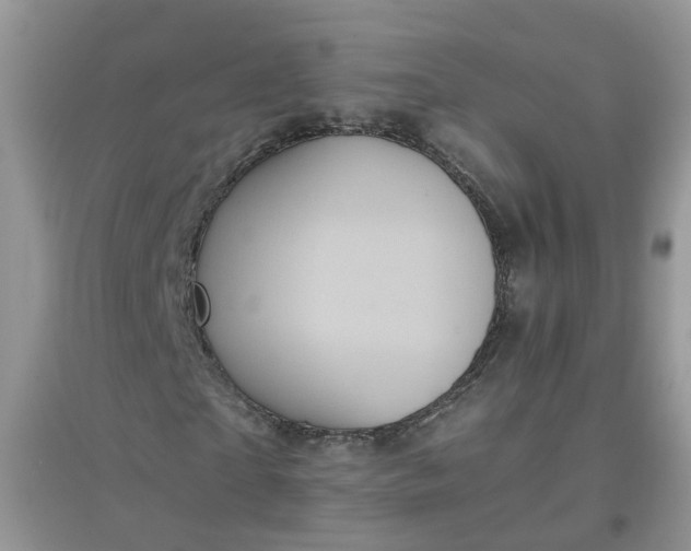 X0000097640865200803142044