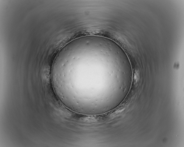 X0000097640867200803142044